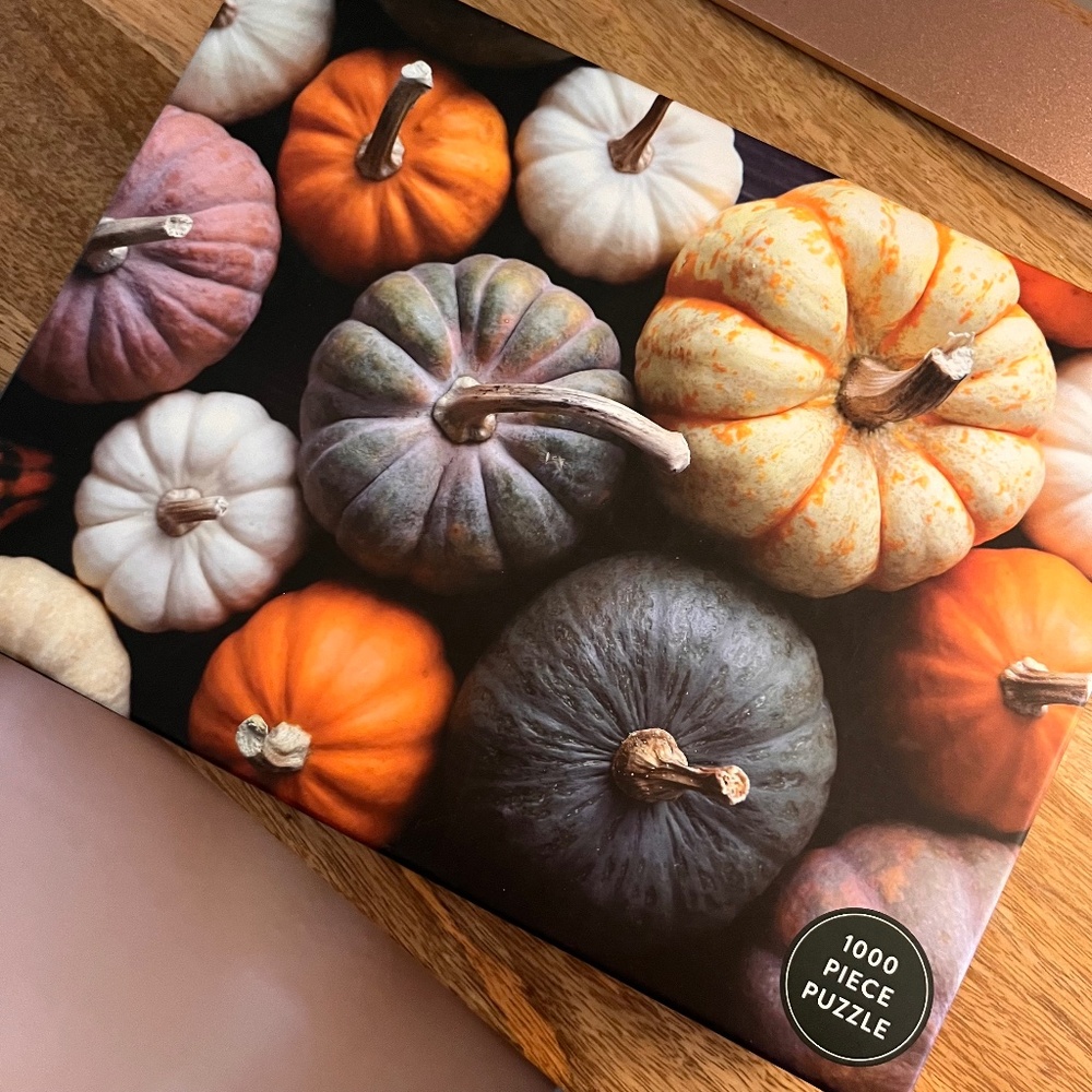 Eccolo Pumpkin Patch Jigsaw Puzzle 1000 Pieces 18" x 24" | Fall Autumn Cozy